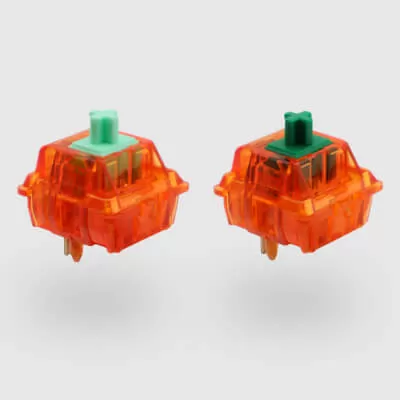 Our Switch Collection